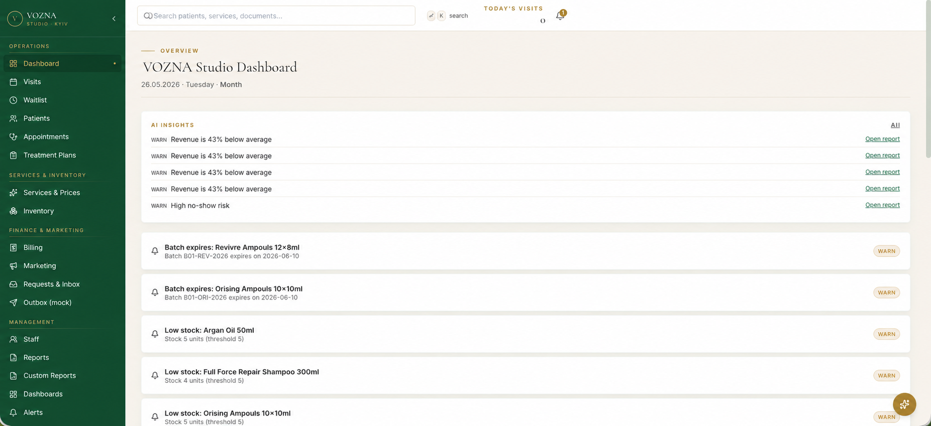 VOZNA Dashboard with AI insights